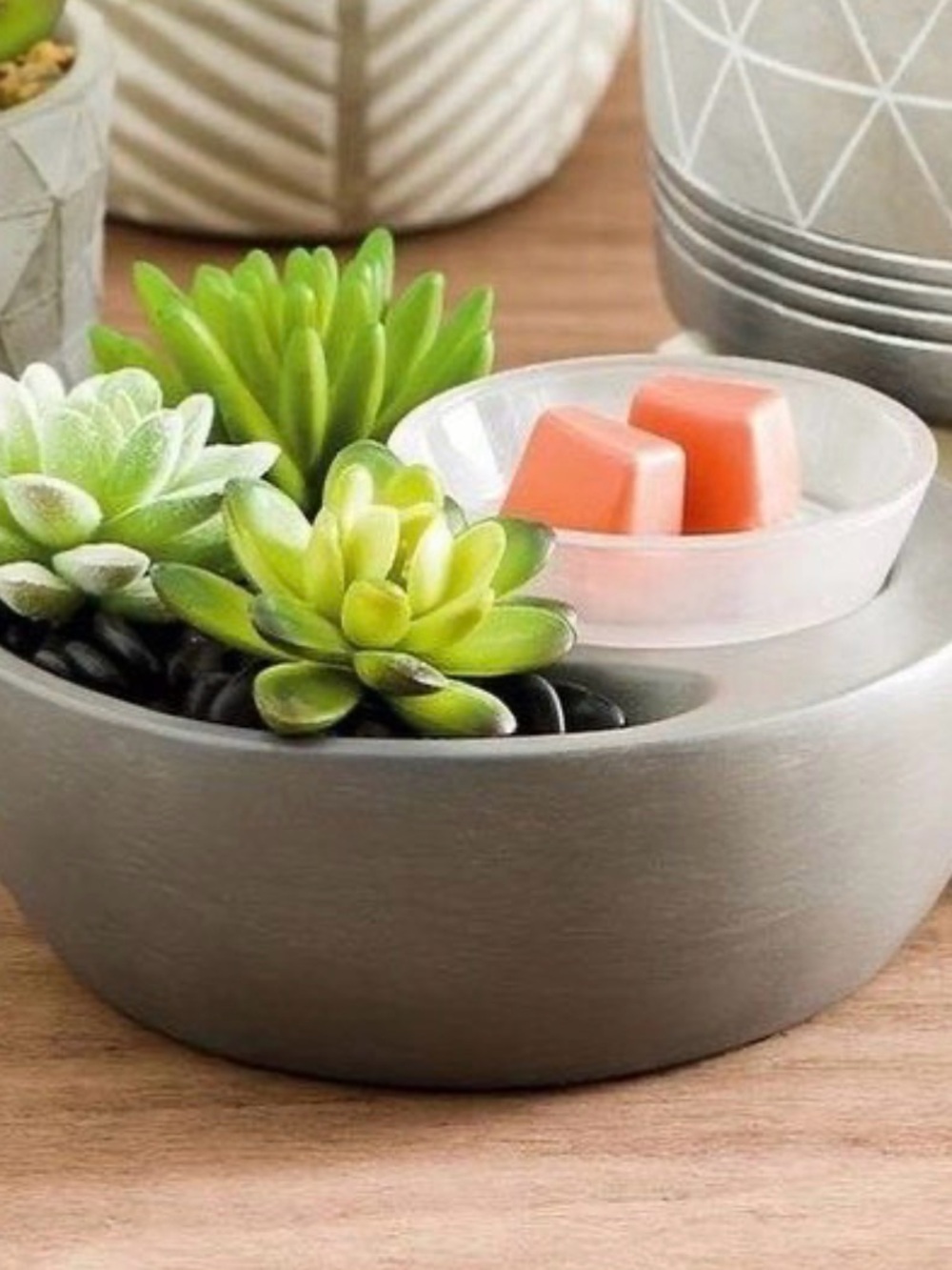 Scentsy Succulent Wax Warmer Bowl